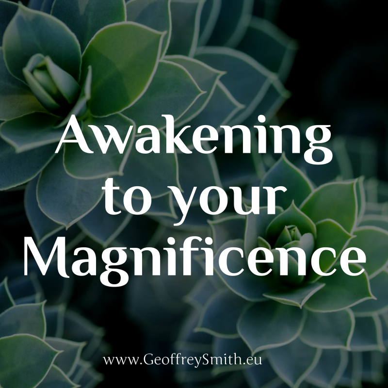 Opening to understanding the magnificence of you